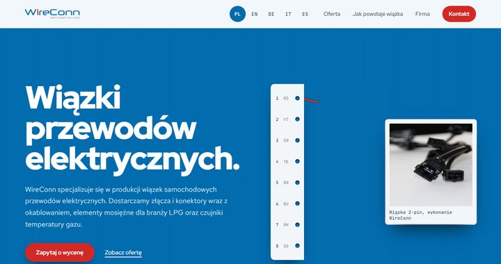Strona internetowa WireConn — widok strony głównej
